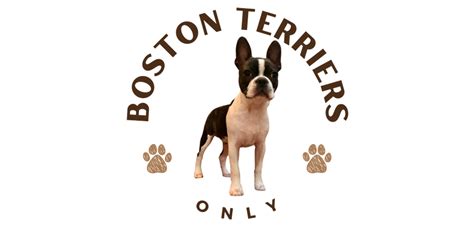 Boston Terriers Only, LLC.